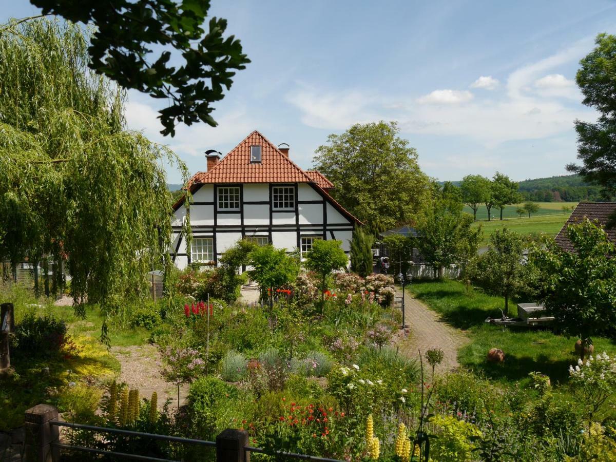 Ferienwohnung Weserblick Polle Екстер'єр фото