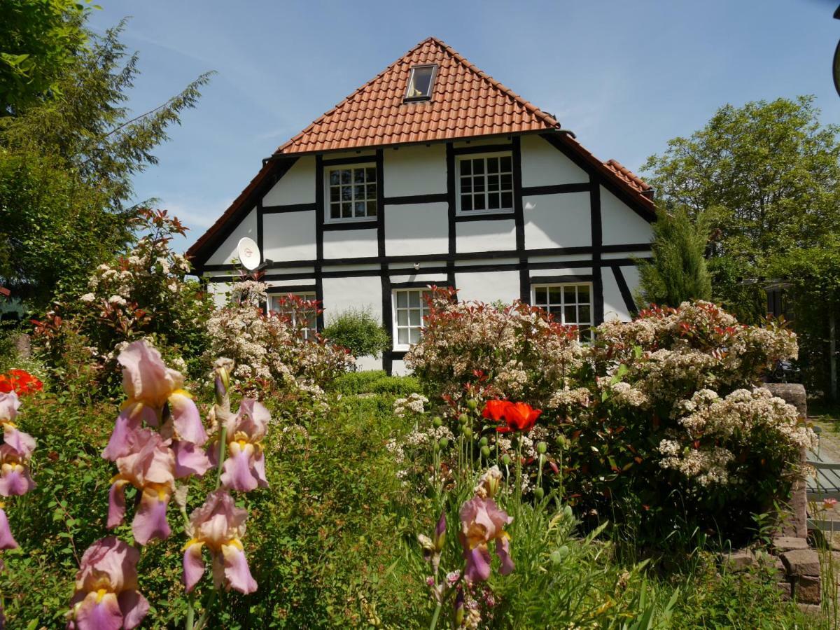 Ferienwohnung Weserblick Polle Екстер'єр фото